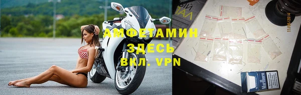 ПСИЛОЦИБИНОВЫЕ ГРИБЫ Абаза