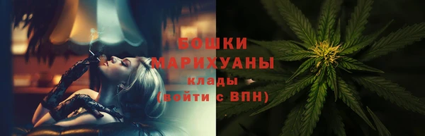 PSILOCYBIN Алексеевка