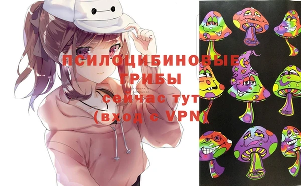 ГАЛЛЮЦИНОГЕННЫЕ ГРИБЫ Алексин